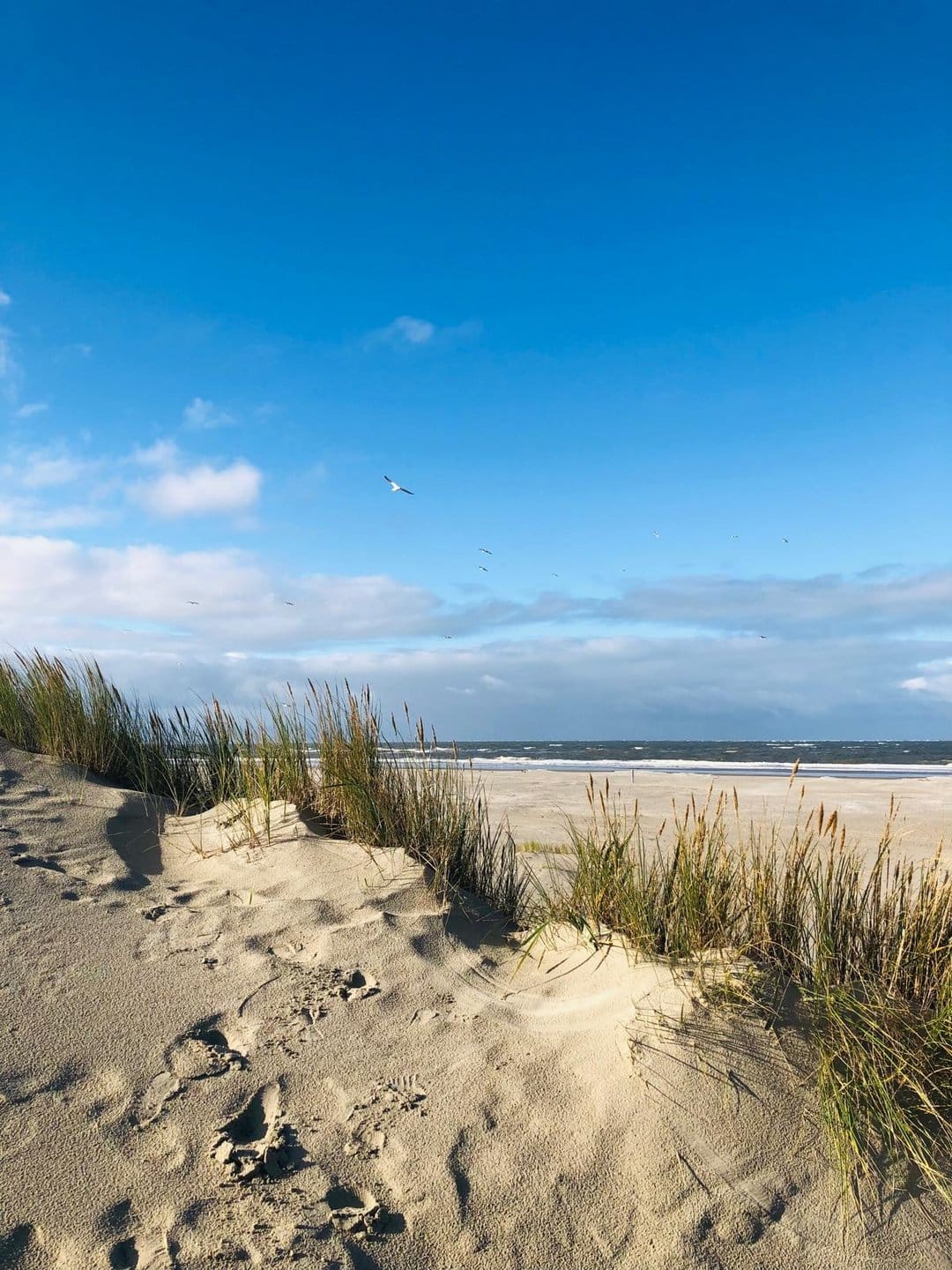 Uitzicht op terras vanuit woonkamer